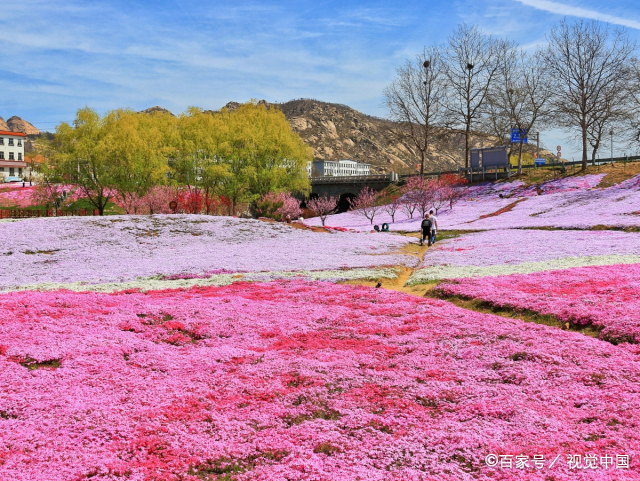 漫步在这片缤纷的花海之中,仿佛置身于一个梦幻的仙境,让人陶醉其中